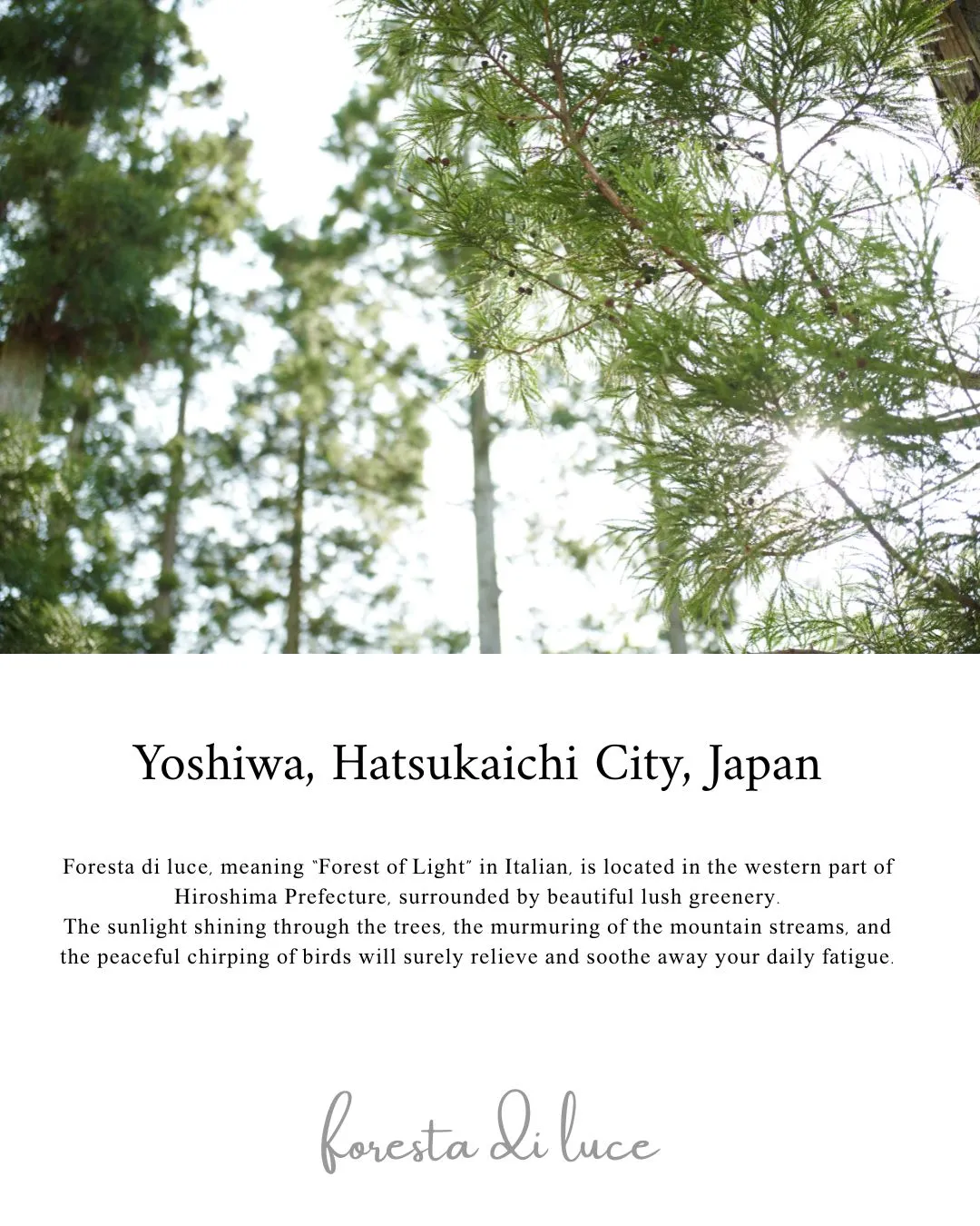 「森のリトリートとは」