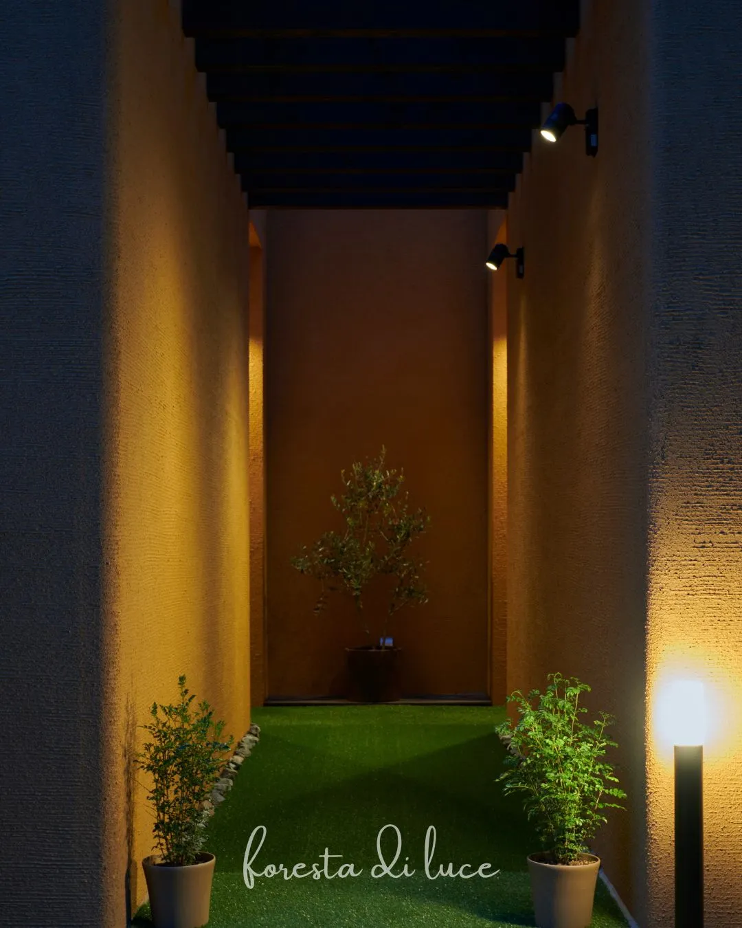 「森のリトリートとは」