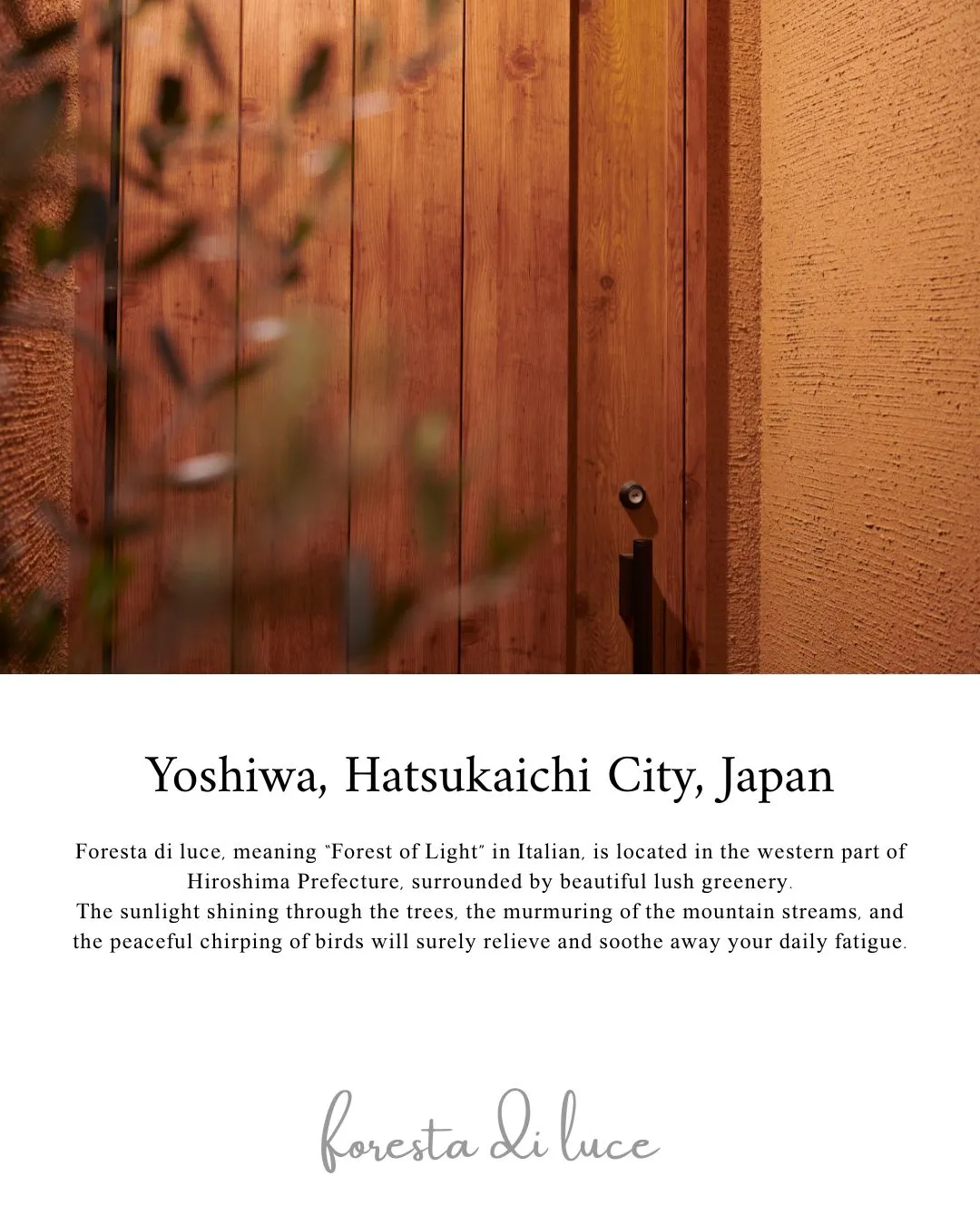 Foresta di luce(フォレスタ ディ ルーチェ)...