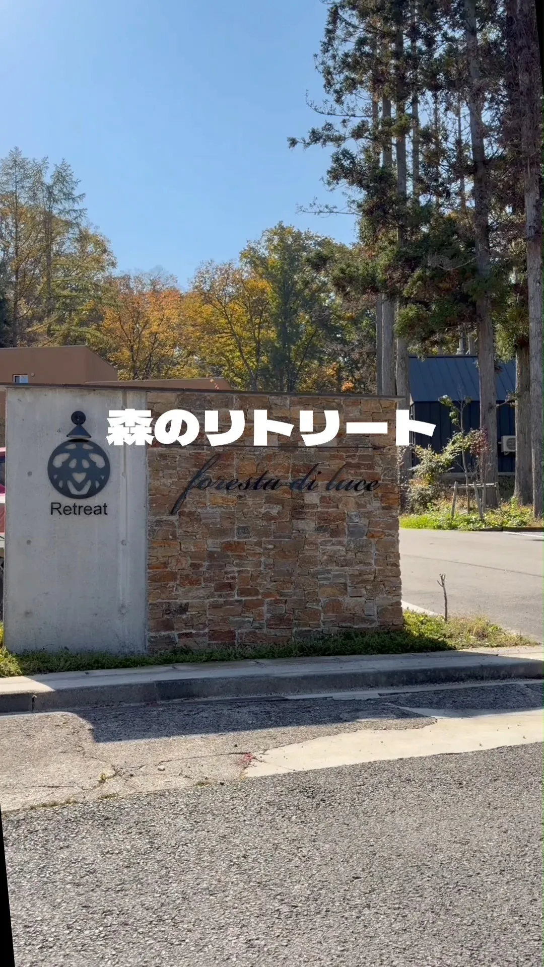 行くしかない森のリトリート！